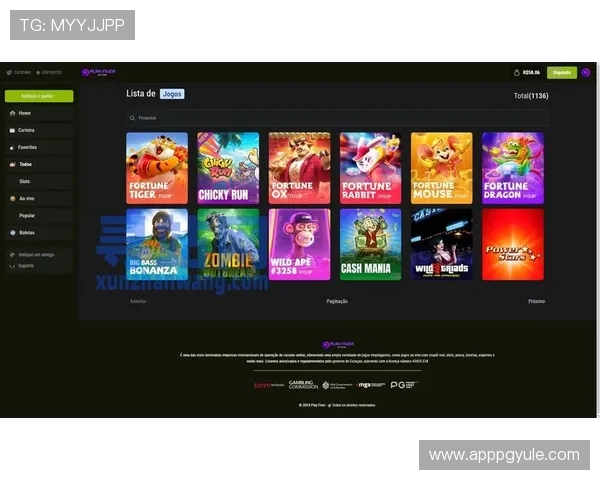 2024年最全的pg电子app官方入口登录入口及使用技巧详解