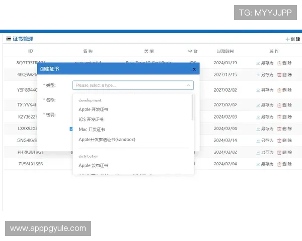 pgfast官网下截最新版本教程，详细步骤全面解析