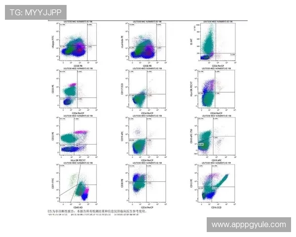 PG官网化验所报告查询流程详解及注意事项指南