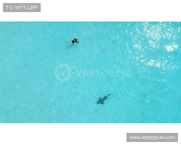 PG电子游艺游戏种类丰富多样满足不同玩家的多样化娱乐需求 PG电子游艺游戏种类丰富多样满足不同玩家的多样化娱乐需求